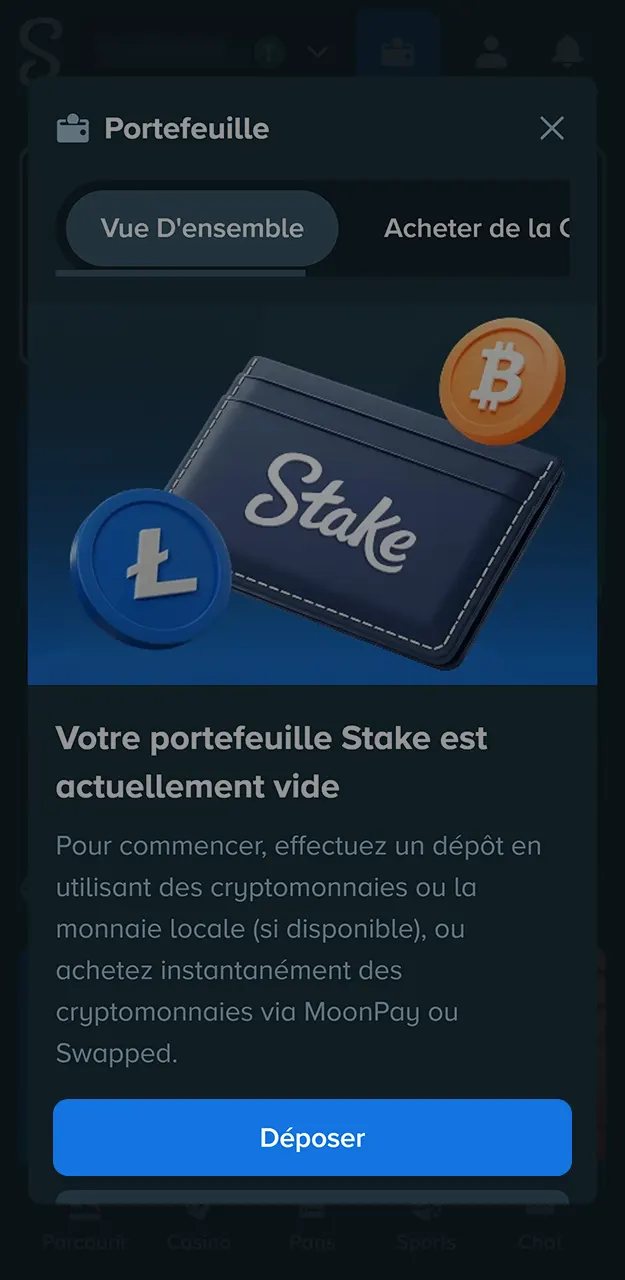 Rechargez votre solde de jeu sur Stake après avoir saisi le code promotionnel.
